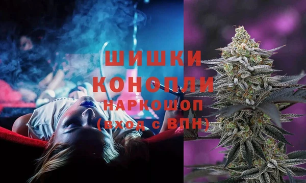 дурь Алексеевка