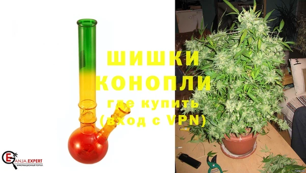 гидропоника Алзамай
