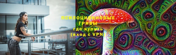 прущие грибы Алексин