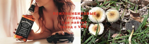дурь Алексеевка