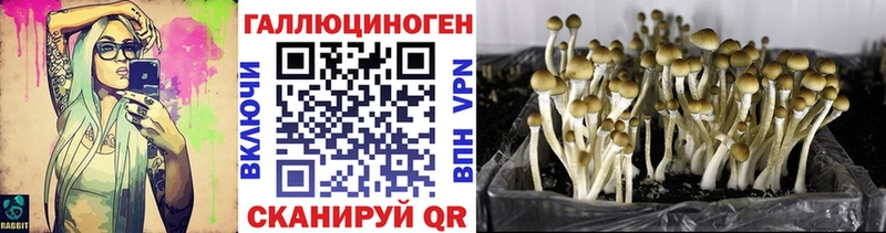 Псилоцибиновые грибы ЛСД  Чаплыгин 