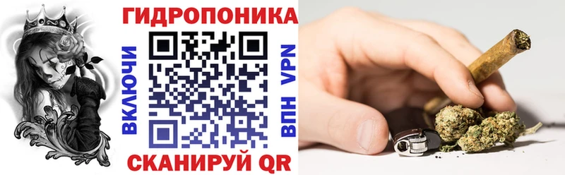 Конопля план  Чаплыгин 